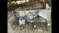 بكج كامل جوز عمرو  16 شهر معهم بنتهم انثى عمرها 6  شهور