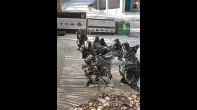 3 جواز براهمه اسود متلد