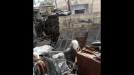 اغنام للبيع