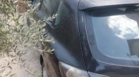مازدا | MAZDA مازدا شلوش 2008 2008