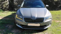 سكودا | SKODA  2019