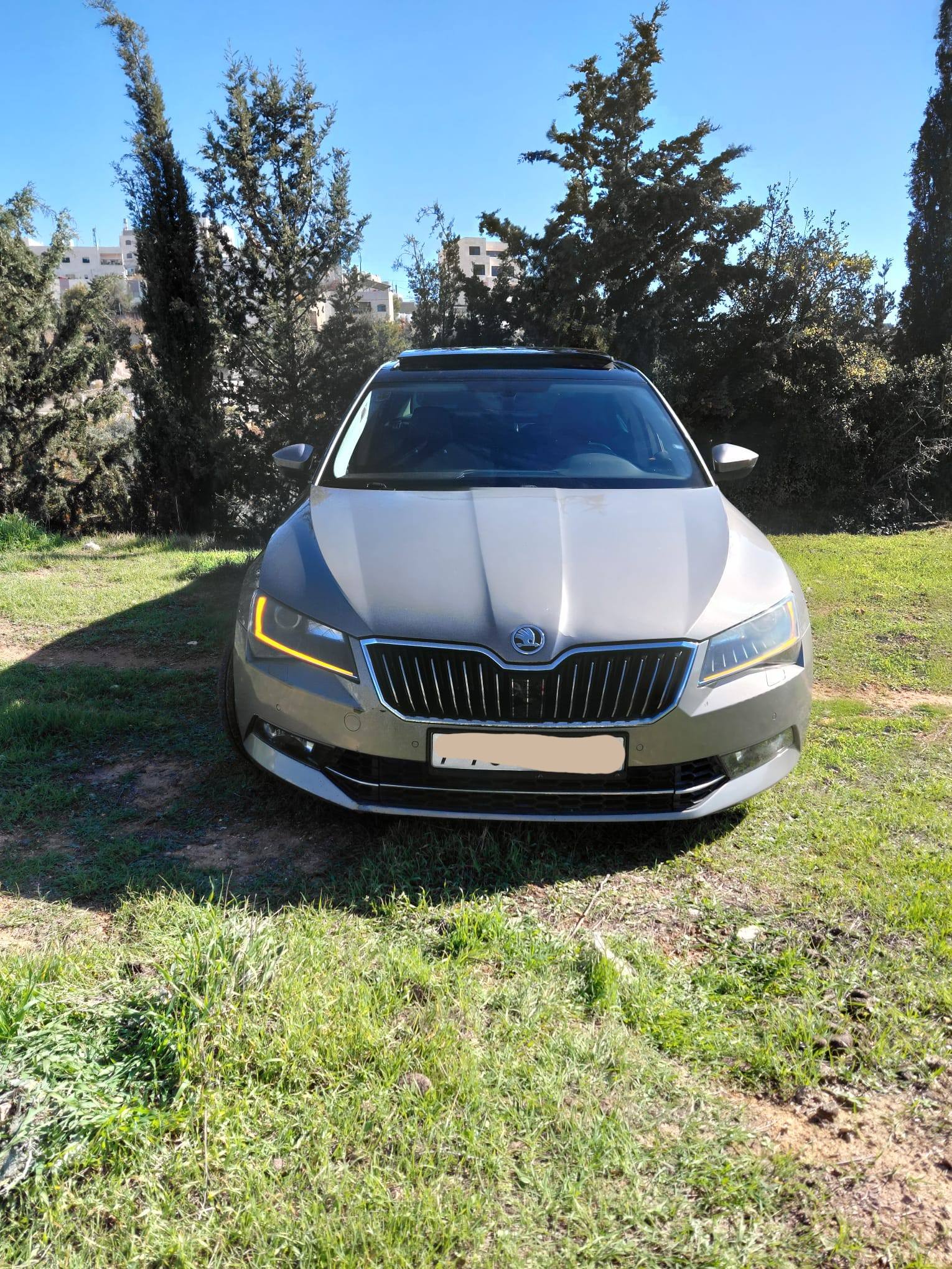 سكودا | SKODA  2019