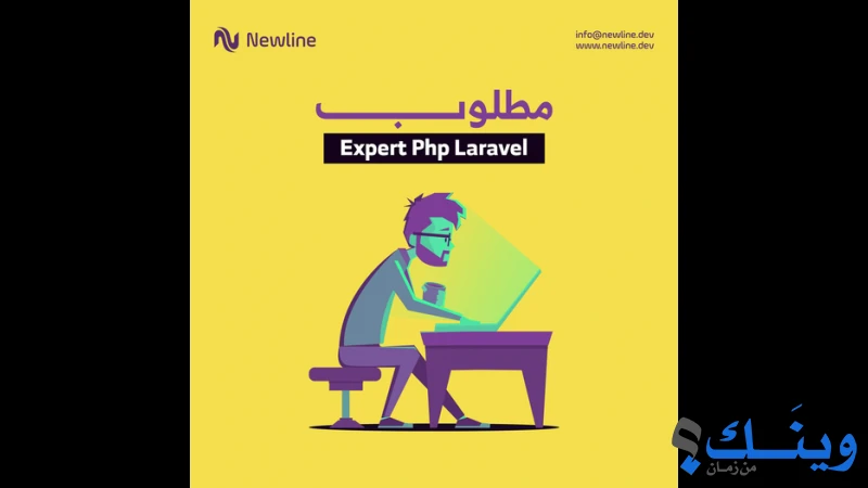 نيو لاين لتكنولوجيا المعلومات