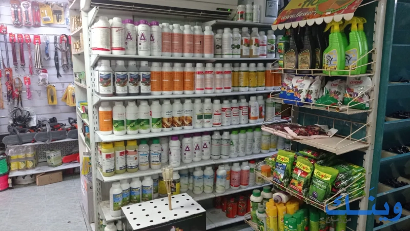 معرض الواد الاخضر