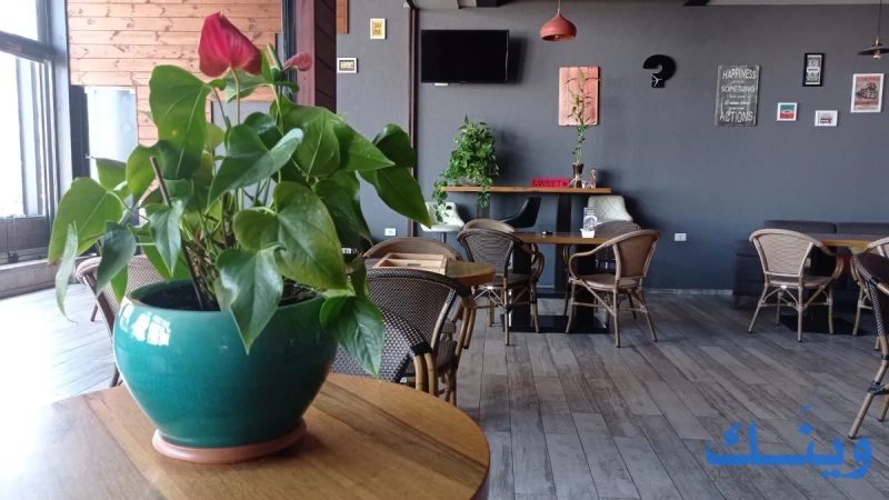Skyline coffee house