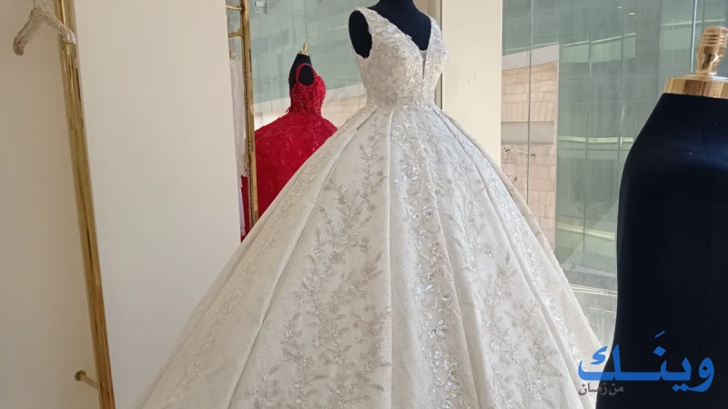 tamar bridal cinter
