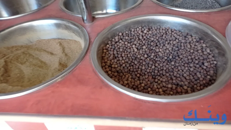 بن وبهارات النورس