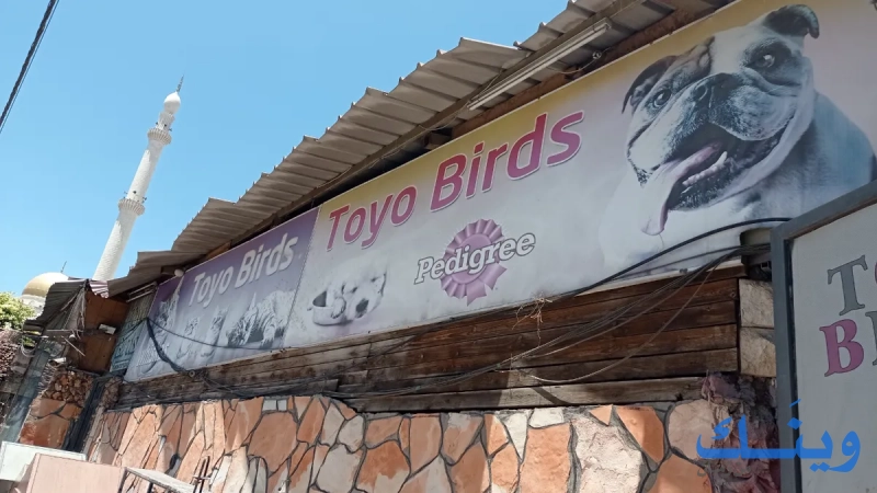 Toyo BlRD