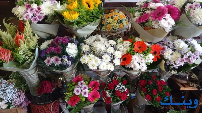 ازهار البيرة