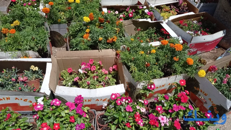 دنيا الزراعة والبيطرة