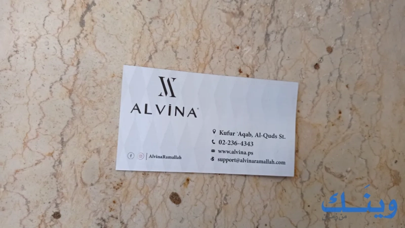 Alvina