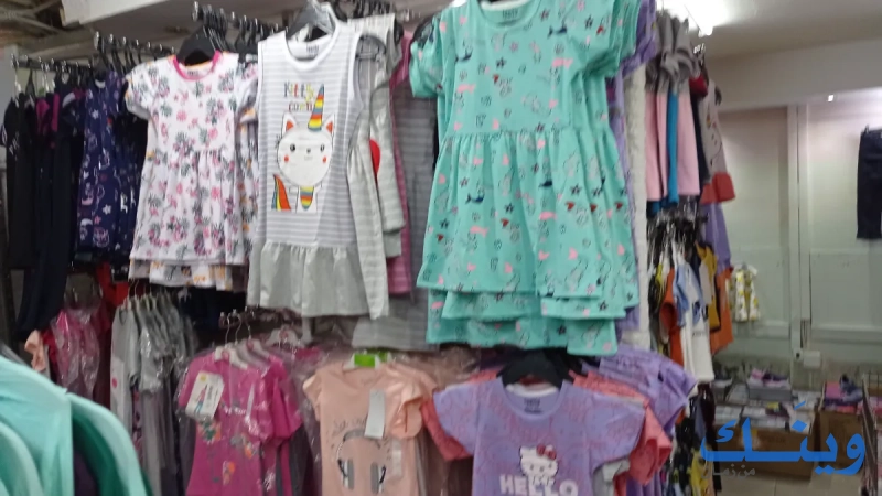Miss palestine outlet