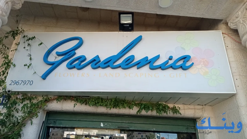 Gardenia
