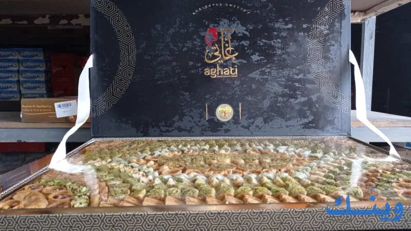 مدينة الطيبات