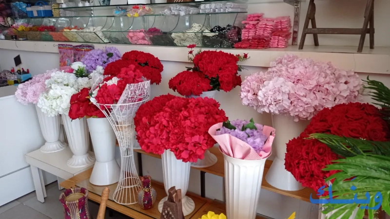 Suzanna events