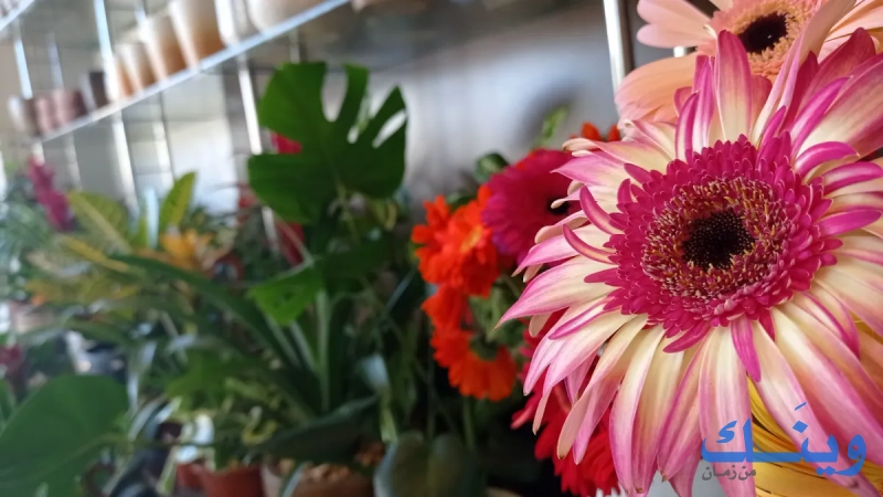 Flowers corner