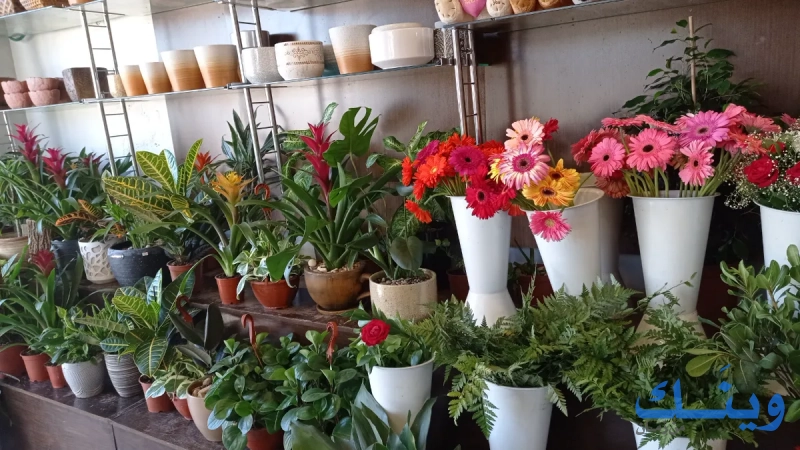 Flowers corner