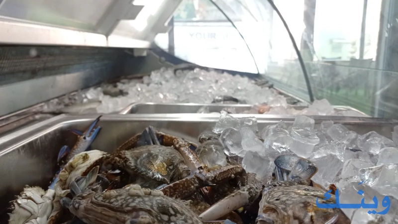 Fresh fish