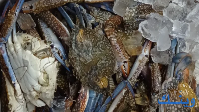 Fresh fish