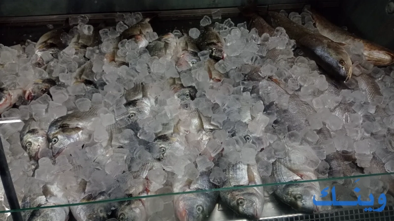 Fresh fish