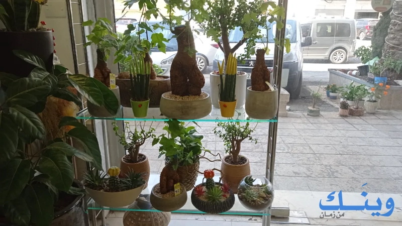 الزهور