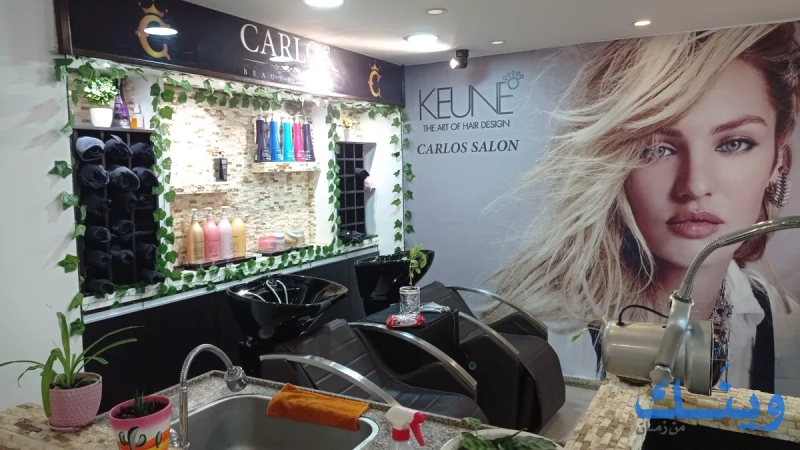 Carlos Salon