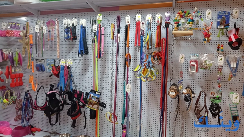 Marlo pet store
