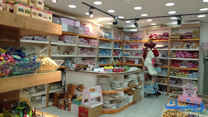 مدينة الطيبات