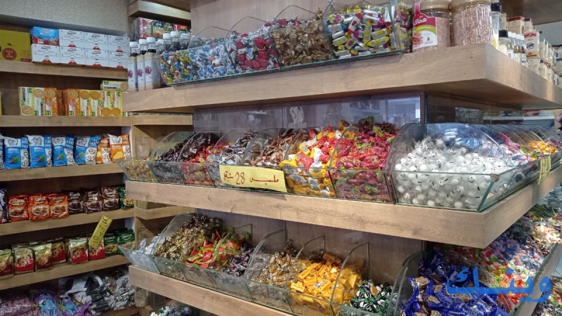 مدينة الطيبات