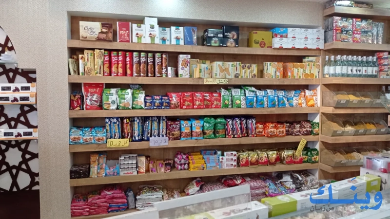 مدينة الطيبات