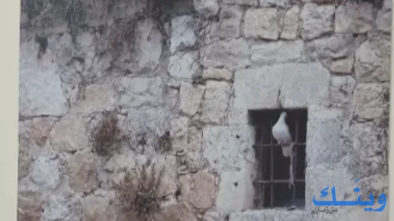 نواه للهندسة والديكور