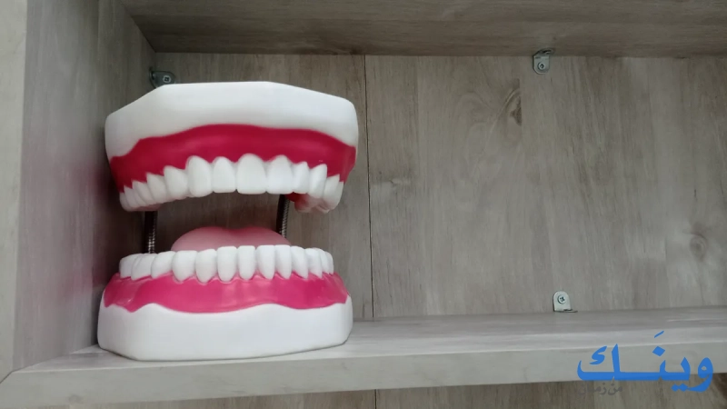 AMY dental clinic