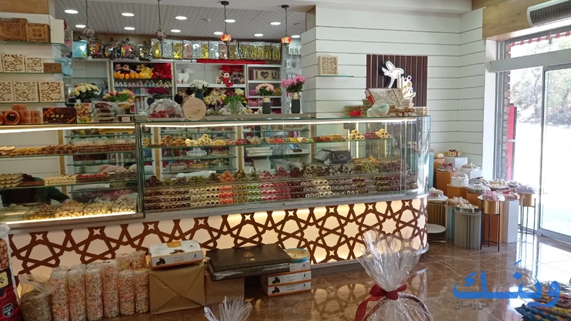 مدينة الطيبات