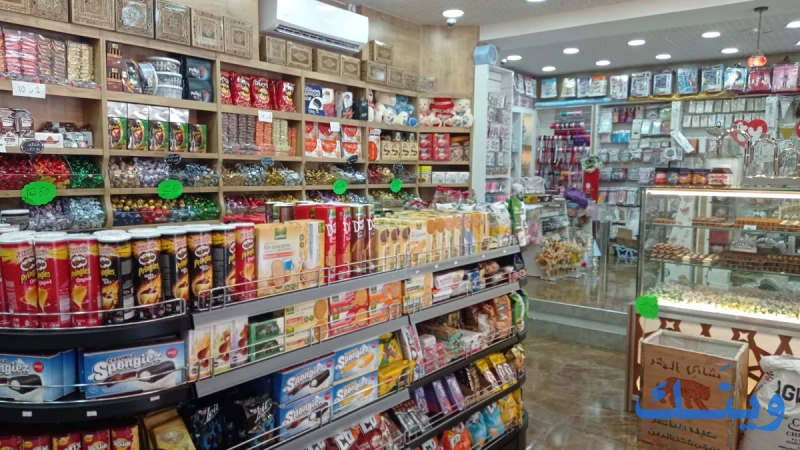 مدينة الطيبات