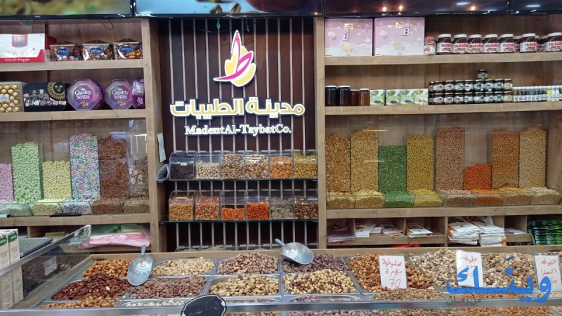 مدينة الطيبات