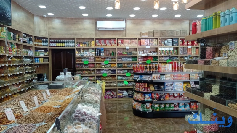 مدينة الطيبات