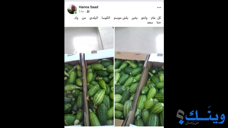 ملحمة وخضار الشعب