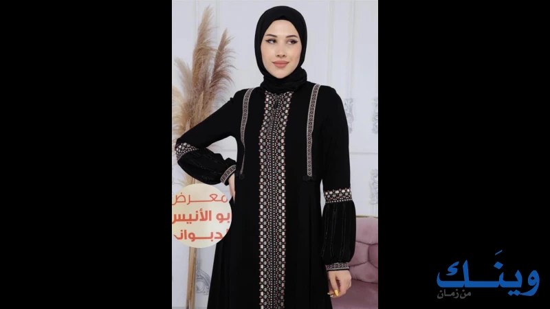معرض ابو الانيس الدبواني