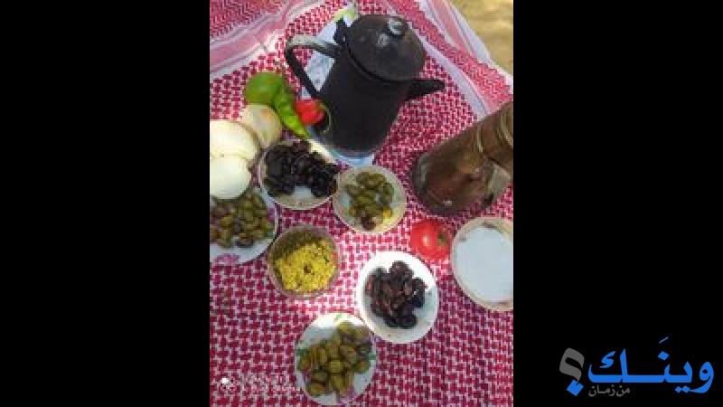 روضة ام القرى