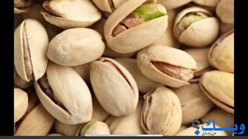محمص وبن لؤلؤة الباشا