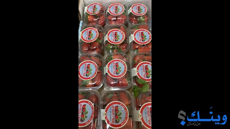 سوبرماركت ابو رسلان