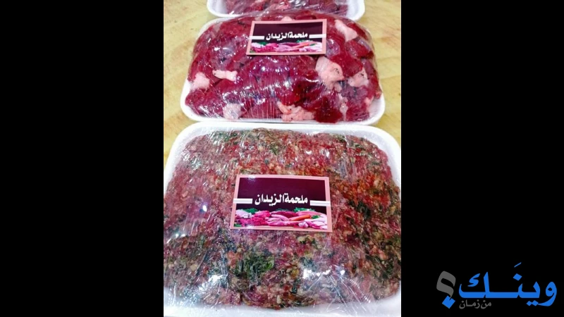 ملحمة زيدان