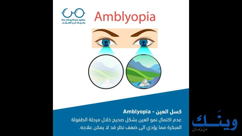 بصريات ابن الهيثم