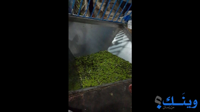 معصرة الجنوب الحديثة