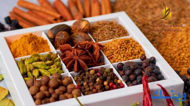 مدينة الطيبات