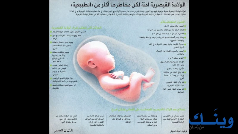 الدكتور احمد ابو لطيفة