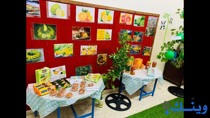 روضة المنار النموذدجية