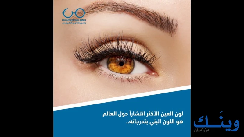 بصريات ابن الهيثم