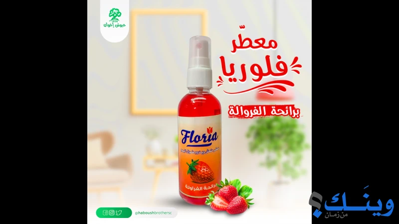 شركة حبوش اخوان