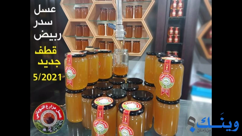 عسل مزارع النوباني